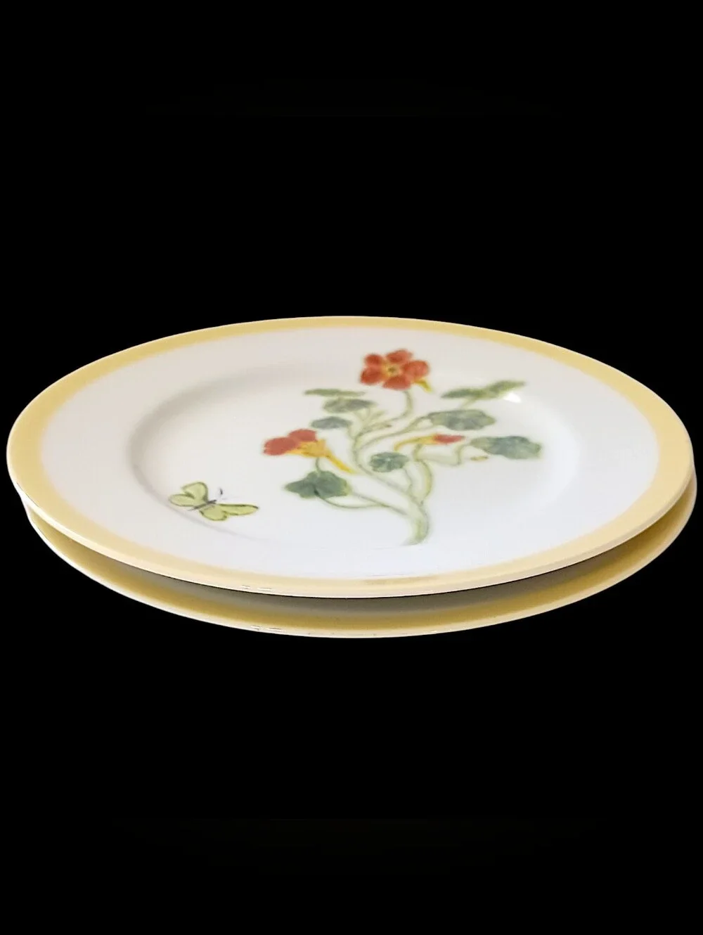 2 Williams Sonoma Flowering Herbs Salad Plates Purple Herb Flowers Nasturtium